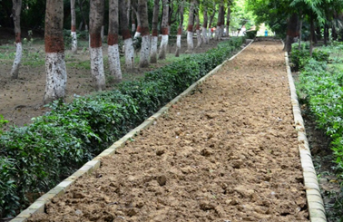 Creating a jogging track